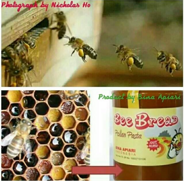 APA ITU BEE BREAD ? Salah Satu Favorit Pelanggan Bina